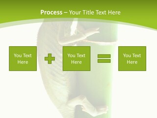 Botany Arboricole Events PowerPoint Template