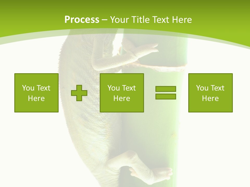 Botany Arboricole Events PowerPoint Template