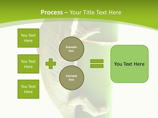 Botany Arboricole Events PowerPoint Template