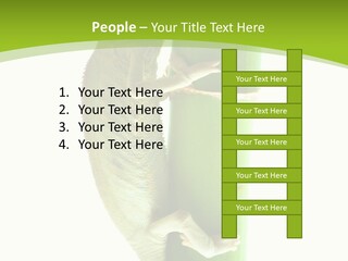 Botany Arboricole Events PowerPoint Template