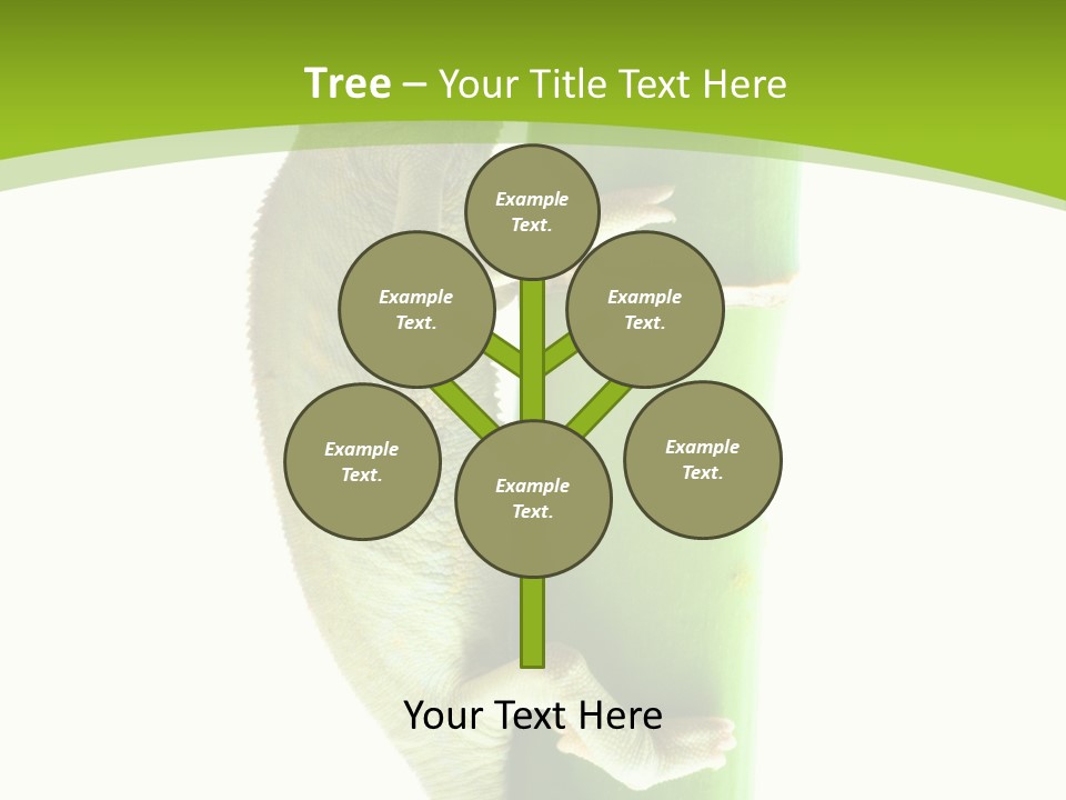 Botany Arboricole Events PowerPoint Template