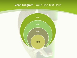 Botany Arboricole Events PowerPoint Template