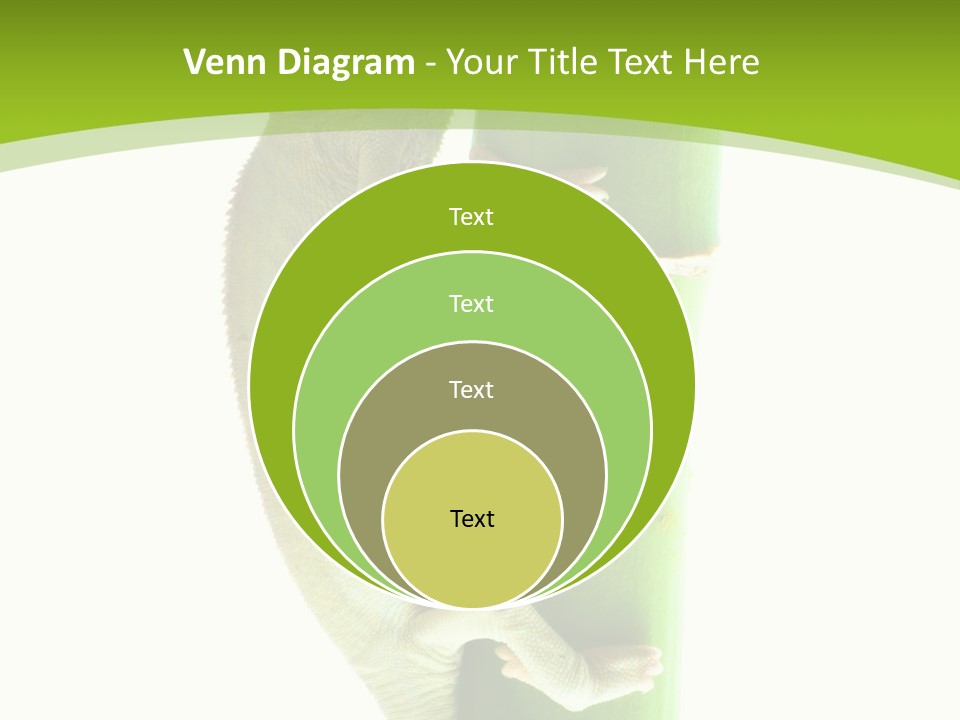 Botany Arboricole Events PowerPoint Template