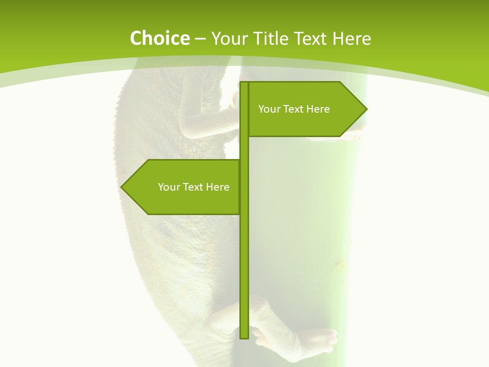 Botany Arboricole Events PowerPoint Template