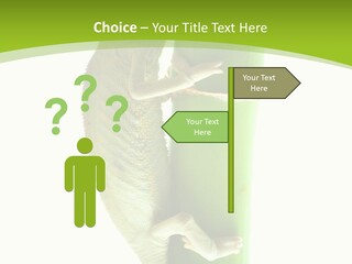 Botany Arboricole Events PowerPoint Template