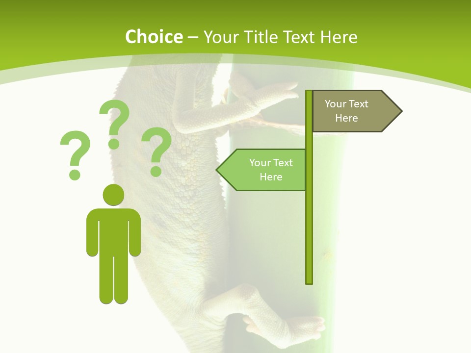 Botany Arboricole Events PowerPoint Template