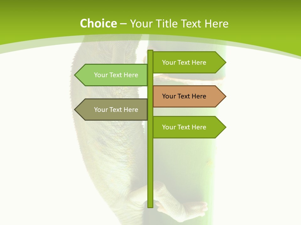 Botany Arboricole Events PowerPoint Template