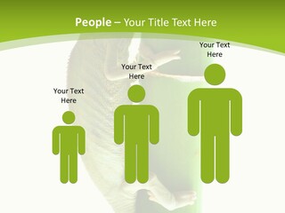 Botany Arboricole Events PowerPoint Template