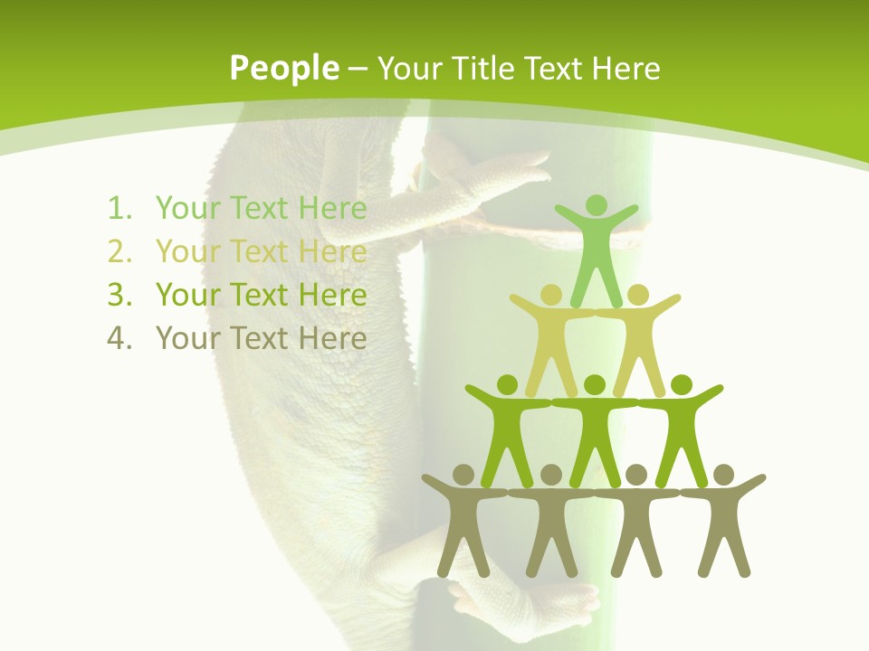 Botany Arboricole Events PowerPoint Template