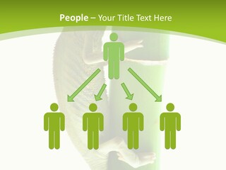 Botany Arboricole Events PowerPoint Template