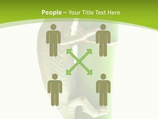 Botany Arboricole Events PowerPoint Template