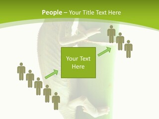 Botany Arboricole Events PowerPoint Template