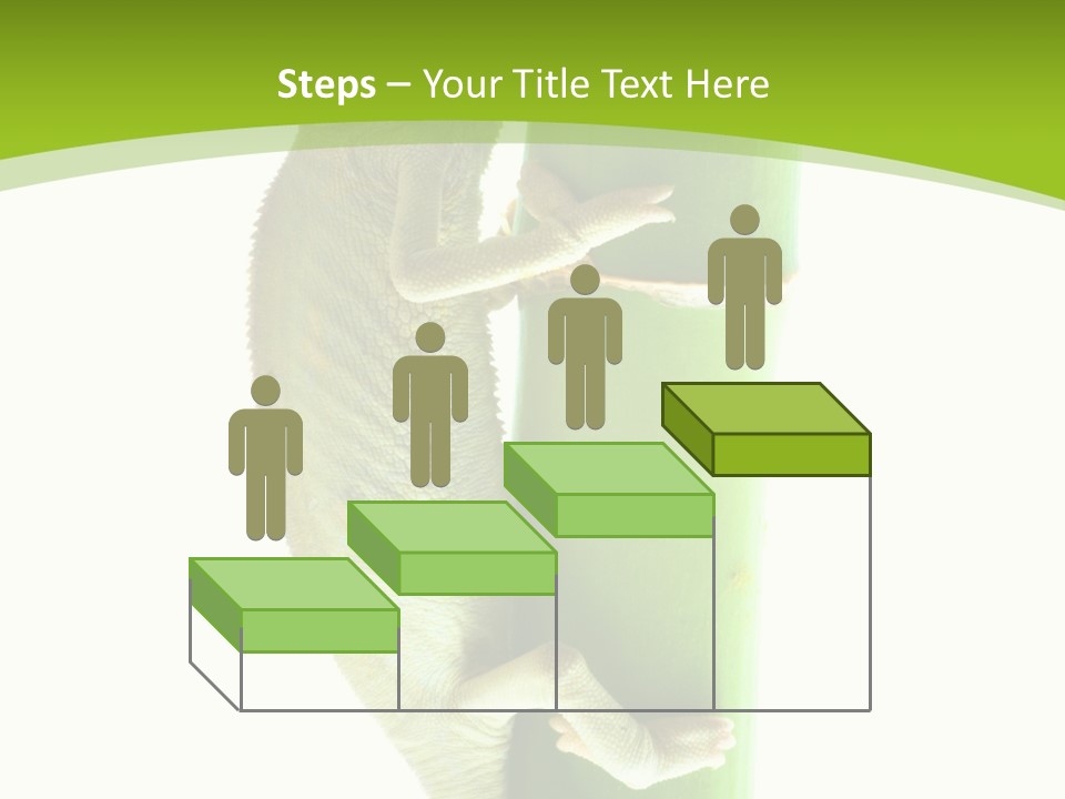 Botany Arboricole Events PowerPoint Template