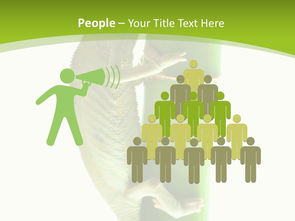 Botany Arboricole Events PowerPoint Template