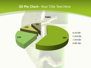 Botany Arboricole Events PowerPoint Template