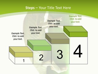 Botany Arboricole Events PowerPoint Template
