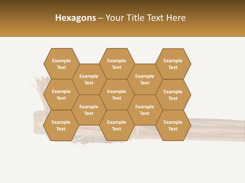 Toiletries Brush Worn PowerPoint Template