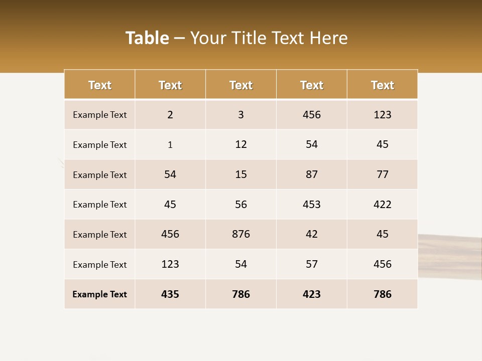 Toiletries Brush Worn PowerPoint Template