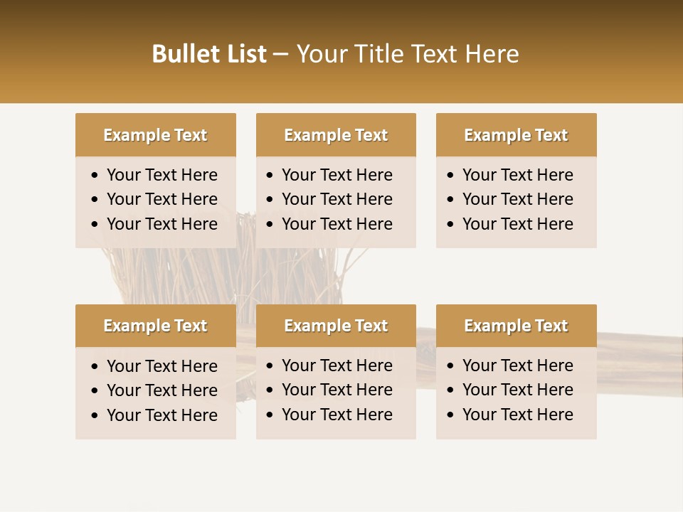 Toiletries Brush Worn PowerPoint Template