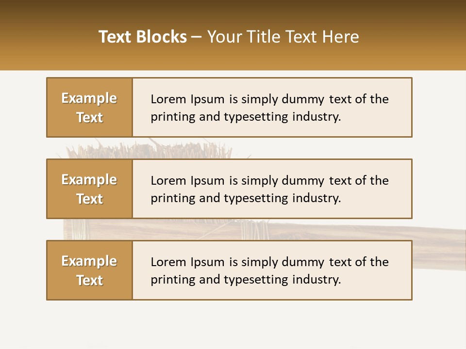 Toiletries Brush Worn PowerPoint Template