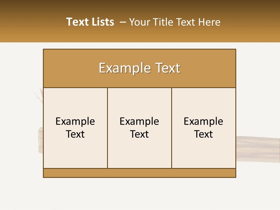 Toiletries Brush Worn PowerPoint Template