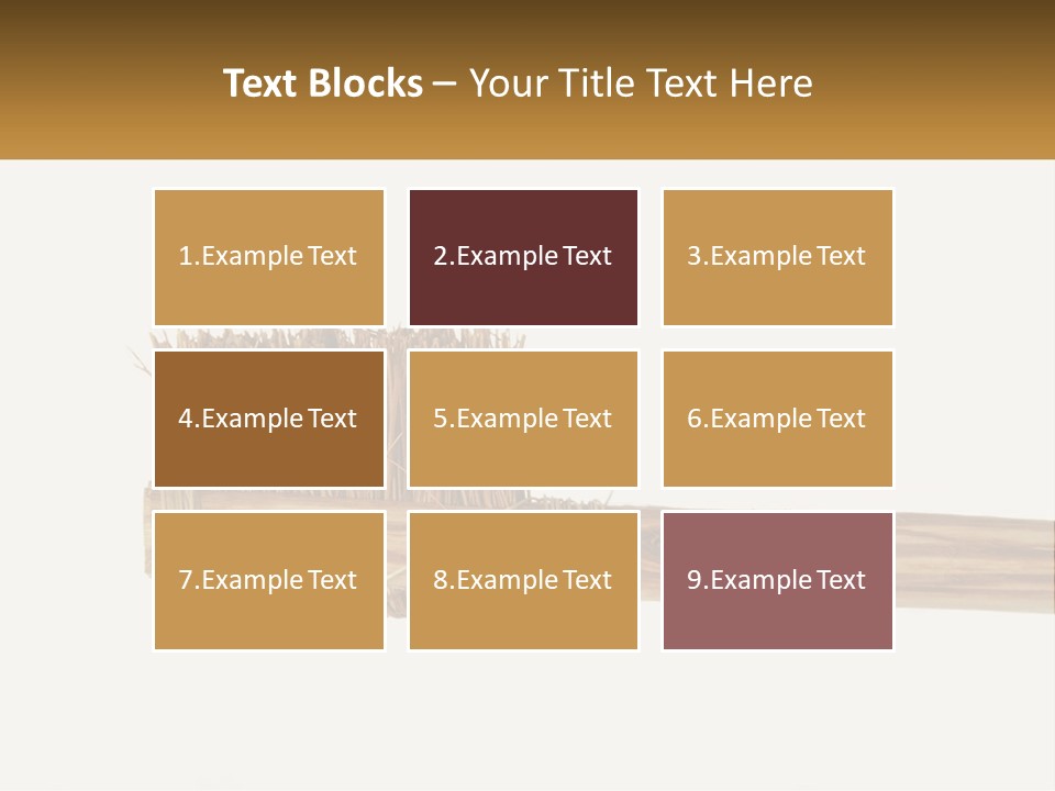 Toiletries Brush Worn PowerPoint Template