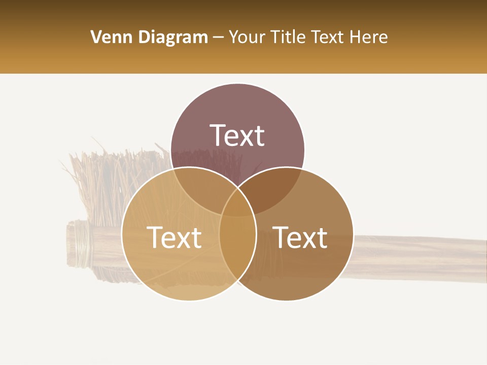 Toiletries Brush Worn PowerPoint Template