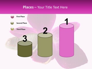 Summer Single Raindrop PowerPoint Template