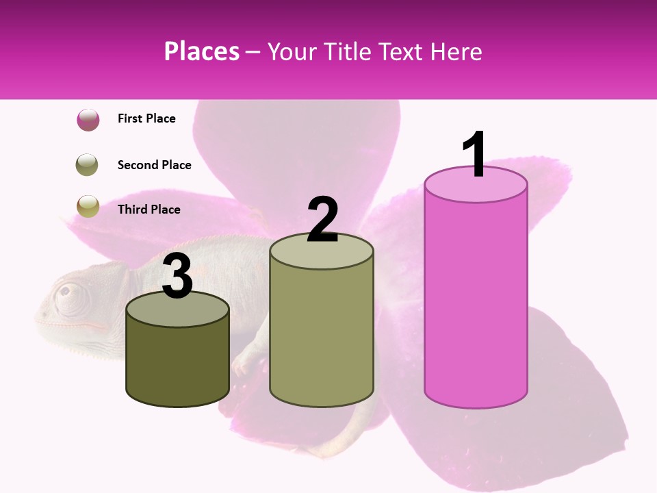 Summer Single Raindrop PowerPoint Template