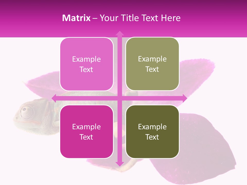 Summer Single Raindrop PowerPoint Template