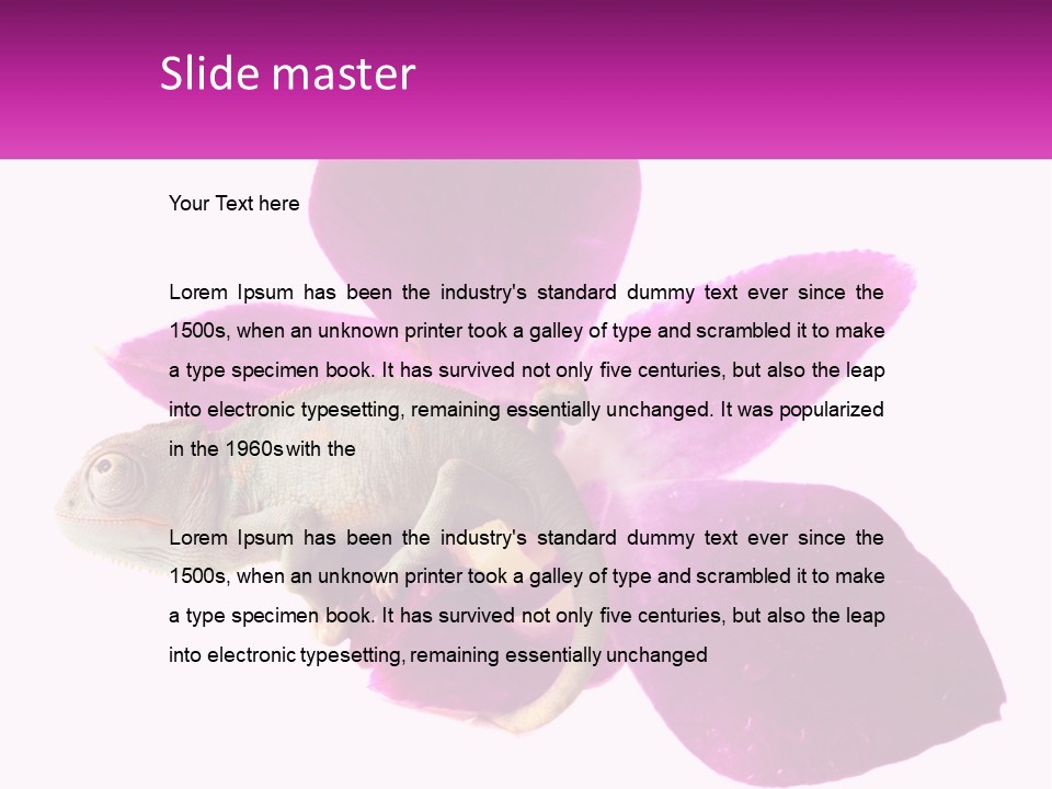 Summer Single Raindrop PowerPoint Template