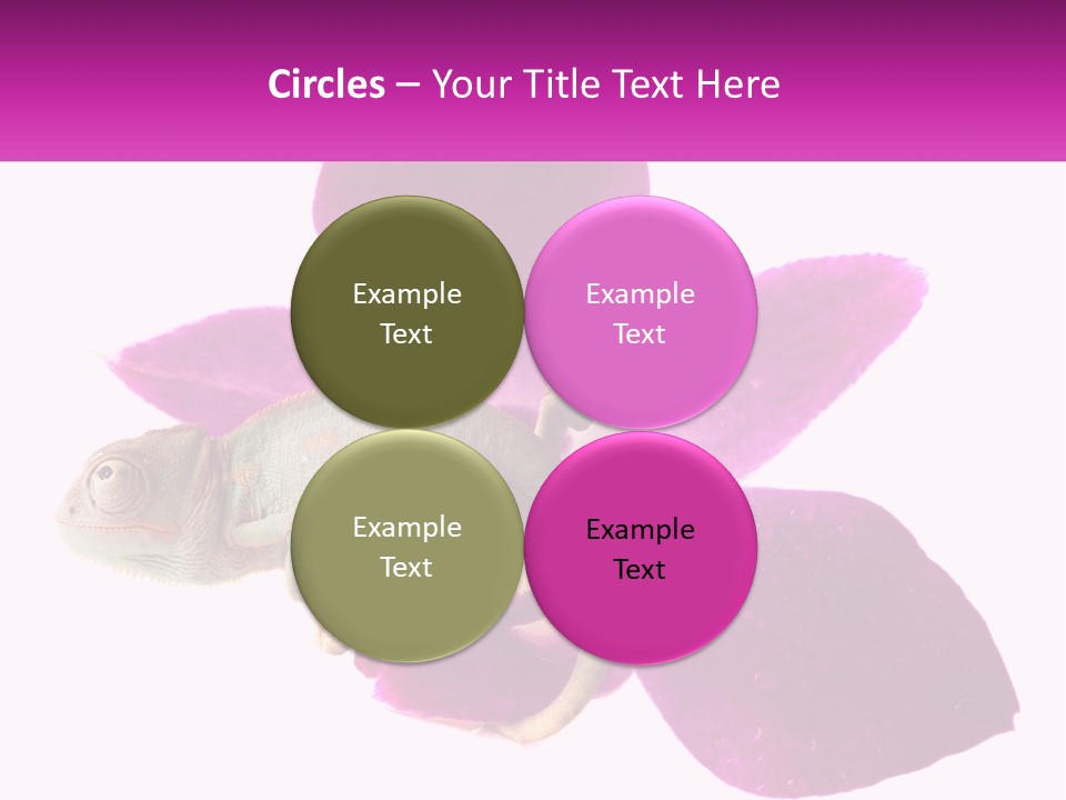 Summer Single Raindrop PowerPoint Template