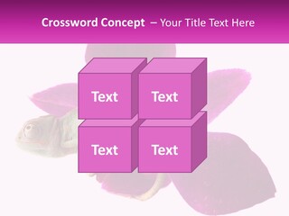 Summer Single Raindrop PowerPoint Template