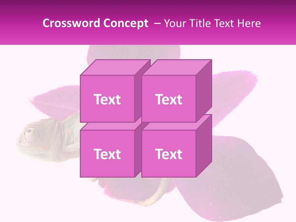 Summer Single Raindrop PowerPoint Template