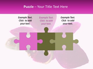 Summer Single Raindrop PowerPoint Template