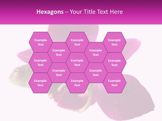 Summer Single Raindrop PowerPoint Template