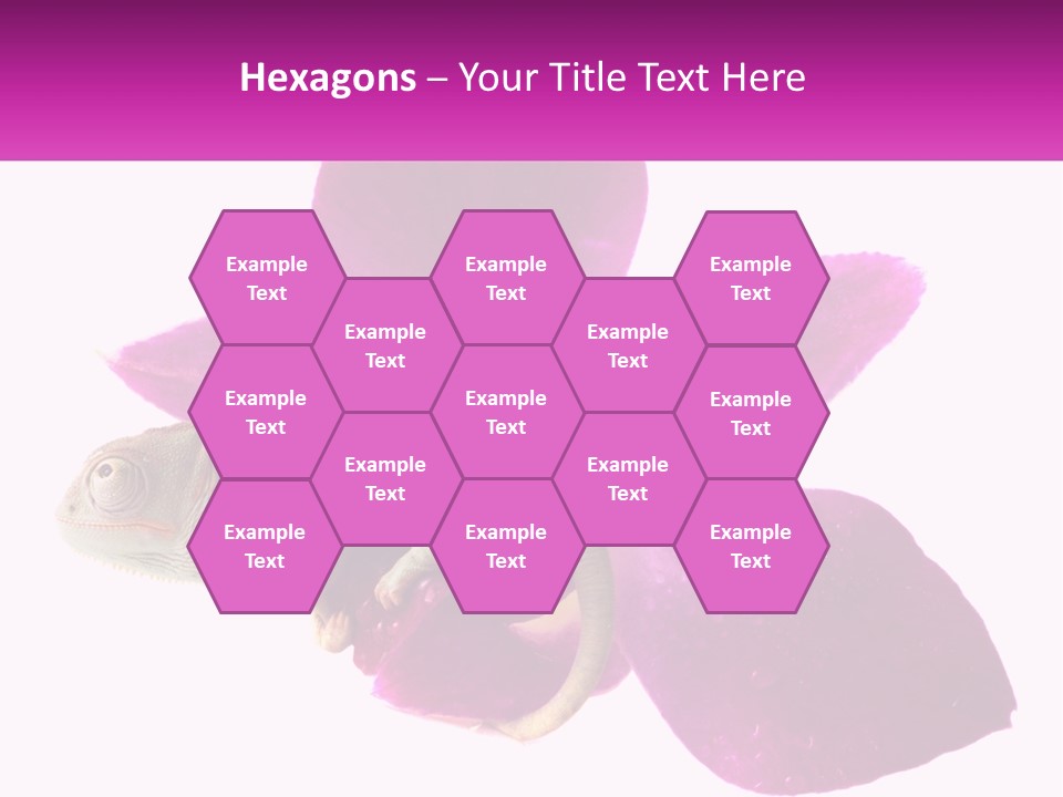 Summer Single Raindrop PowerPoint Template