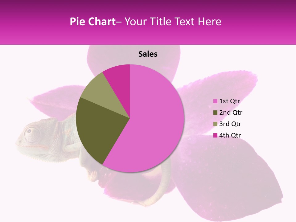 Summer Single Raindrop PowerPoint Template
