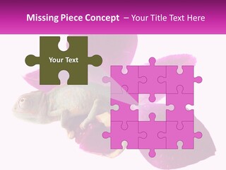 Summer Single Raindrop PowerPoint Template