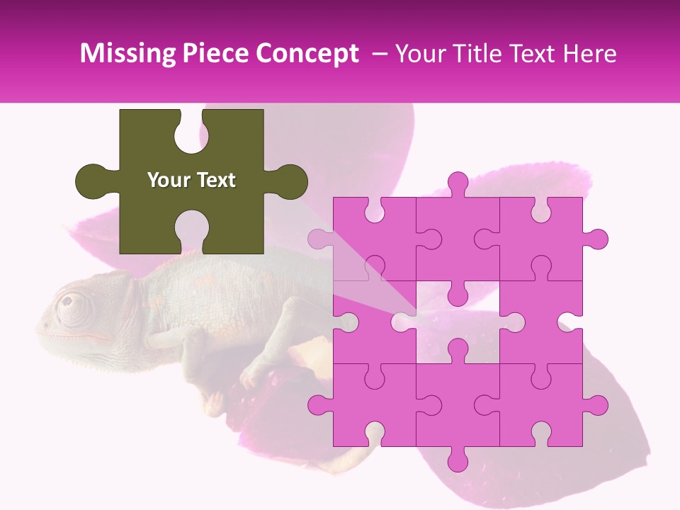 Summer Single Raindrop PowerPoint Template