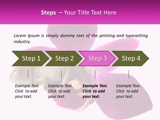 Summer Single Raindrop PowerPoint Template
