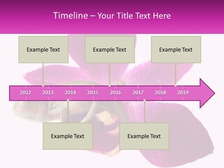 Summer Single Raindrop PowerPoint Template