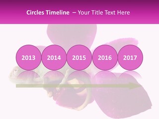 Summer Single Raindrop PowerPoint Template