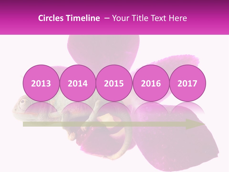 Summer Single Raindrop PowerPoint Template