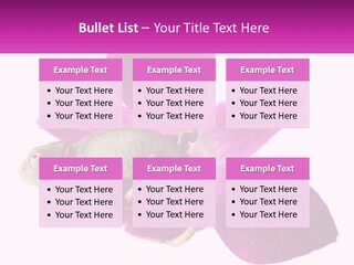 Summer Single Raindrop PowerPoint Template