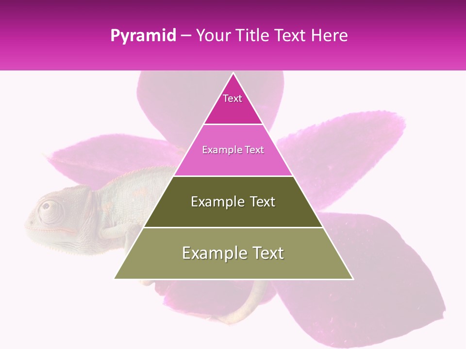 Summer Single Raindrop PowerPoint Template