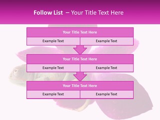 Summer Single Raindrop PowerPoint Template