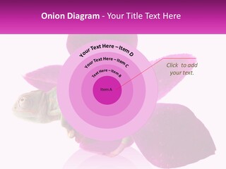 Summer Single Raindrop PowerPoint Template