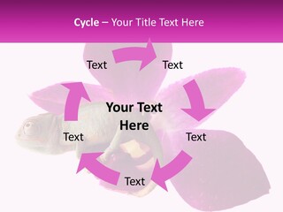 Summer Single Raindrop PowerPoint Template