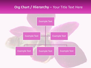 Summer Single Raindrop PowerPoint Template